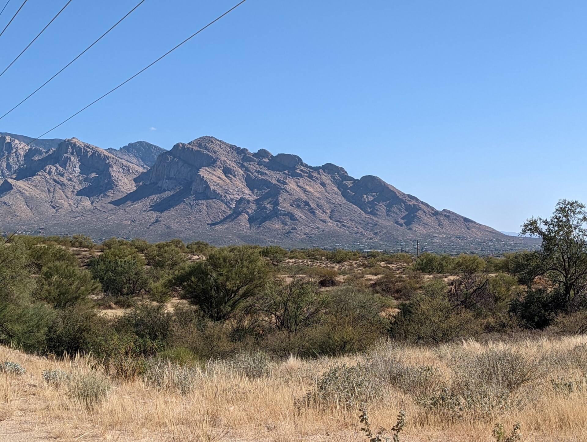 Pusch Ridge and the Santa Catalina Mountains seen across desert near Casas Adobes, Tucson AZ 85704